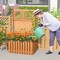 Costway 1/2 PCS Wooden Plant Stand Raised Garden Bed with Trellis & Planter Box Privacy Screen